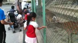 2010.5.8岡崎東公園.wmv