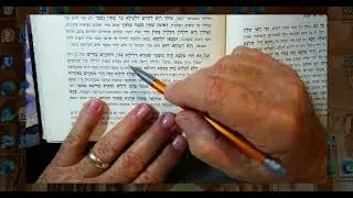 ZOHAR... PARSHAT VAYIGASH  RASHBI  5 Teves 5786 Pirush Matok M'dvash...