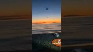 I believe I can fly... fish... poisson volant🐟  #beach #drone #dronefishing #fishing #fly #flying