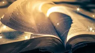 Alexandra Mayers LIVE - The Bible MEV 1 Kings 12 - 17 reading and commentary