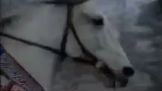 General Kim Jong Il is Riding on a White Horse [Subtitles]