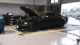 2007 'Murdered-Out' Roush Tribute on the Dyno (445 RWHP) - Steeda.ca