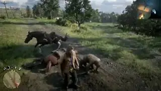 RDR 2 WTF Moments 1