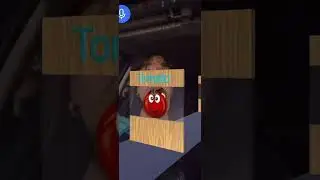 POTATER