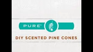 DIY PURE Essential Oil Scented Pine Cones