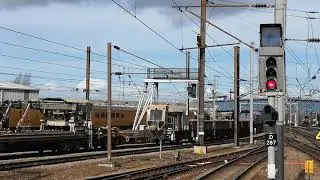 66429