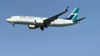 WestJet Boeing 737 MAX 8 Landing at St. John's International Airport (YYT/CYYT)