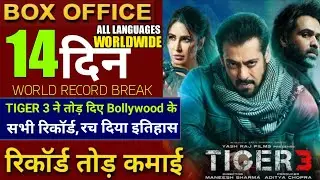 Tiger 3 Box Office Collection, Tiger 3 Worldwide Collection, Salman Khan, Katrina Kaif #tiger3