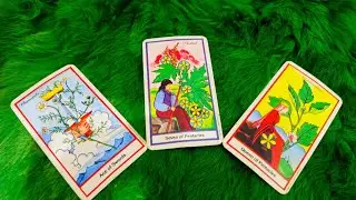 NƯỚC ĐI TIẾP THEO CỦA HỌ LÀ GÌ?