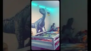 Bedroom makeover&mdash;Jurassic Edition