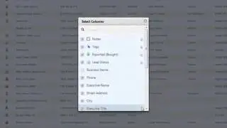 Salesgenie Lead Manager&trade;  Custom Views youtube original Как найти клиентов? Где найти покупателя