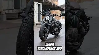 Small Engine, BIG Presence | BENDA Napoleonbob 250 First Look #motorcycle #benda #custom #bikelife