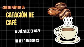 WHAT DOES COFFEE TASTE LIKE? THE KEY SENSORY