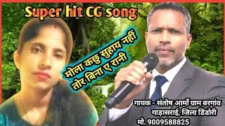 मोला कछु भाये नहीं तोर बिना ए रानी | Cg Song |MP3
