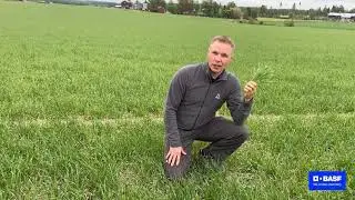 Priaxor yhden ruiskutuksen taktiikka.