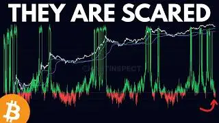 Bitcoin Long-Term Holders Are Selling at a Loss (What the Data Shows)