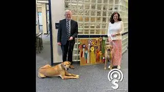 Episode 322: Assistant Principal Has Passion for Showing Rhodesian Ridgebacks