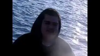 Harbor Flow