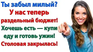 Раздельный бюджет? Тогда и холодильник тоже раздельный! ленивый муж и жена женские истории