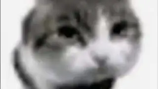 Video irrelevante. 