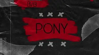 Brother Bear feat. DaBaby - Pony