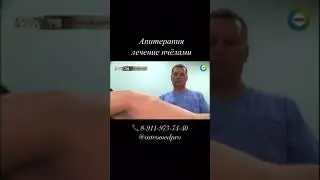 Апитерапия лечение пчелами врач Андрей Леоненко. #апитерапевт #апитерапия #апитоксинотерапия