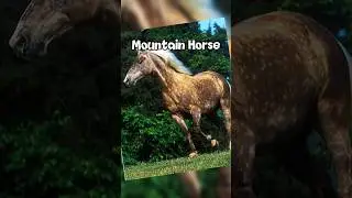 Star Stable Horses But In Real Life Star Stable Edit!😱 / Sso Short / Sso Edit #sso #starstable