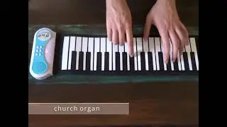 DigitalLife 37 Tasti Pianoforte Arrotolabile a Mano, Buona tastiera giocattolo
