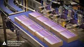 Food industry automation pick, pack & palletize