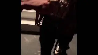 Lil pump gets bit by a snake