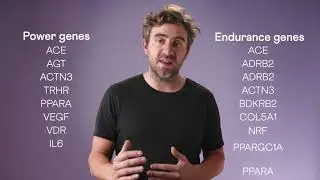 DNAfit | Fitness report explained