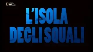L'isola degli squali  