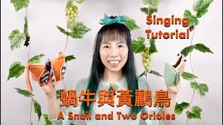 How to Sing 
