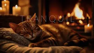 Soothing Cat Music | Peaceful Time with Purr Cat & Crackling Fireplace
