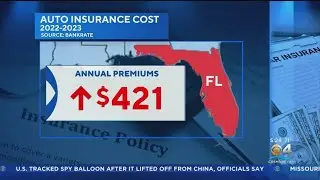 Florida drivers see big jump in auto insurance