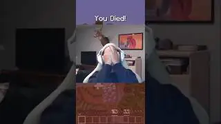 @DaquavisMC Minecraft moment 🐶