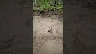 Lasernut steep hillclimb destruction #rockbouncer #fullsend #bashing #throttleout #losi #lasernut