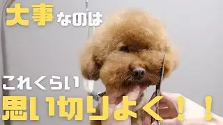 【ポイント】決めたら一発で！！