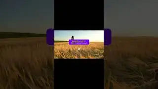 Books That Heal Broken Hearts | Những cuốn s&aacute;ch chữa l&agrave;nh tr&aacute;i tim tan vỡ