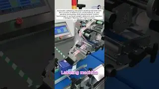 Automatic labeling machine | automatic weighing type plane labeling machine | box weighing labeling