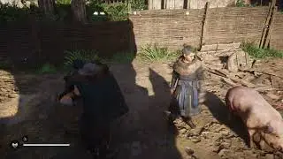 Assassin's Creed: Valhalla - CENT - MYSTERY - PIG OF PROPHECY