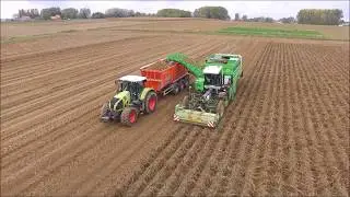 AVR Puma + | Aardappelen rooien 2017 | Harvesting potatoes 2017