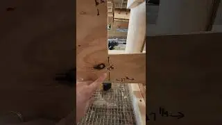 Как построить выдвижные гнезда для кур #growingrootsfarm #farming #chickens #nestingbox #farm