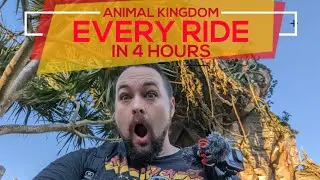 Flights of Passage ROPE DROP | Port Orleans Riverside tour | Animal Kingdom