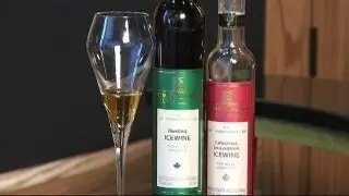 Matt visits the Niagara Ice Wine Festival