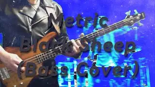 Metric - Black Sheep (Bass Cover)