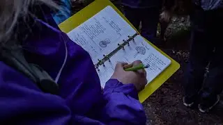 Forest For Dinner - Our Foraging Tours