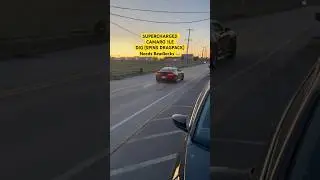 SUPERCHARGED CAMARO SS 1LE DIG TEST!!! (SOUNDS INSANE! ) #camaro #supercharged #explore #lt4 #welds