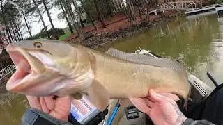 Surprise P.B catch in Lake Hickory bass tournament. Foothills kayak anglers