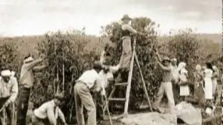 Shunji Nishimura - Documentário parte 01